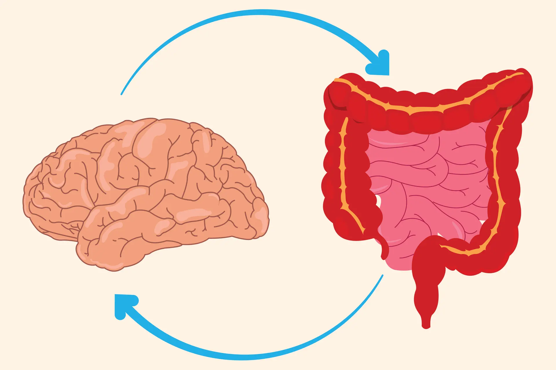 Gut-Brain Axis